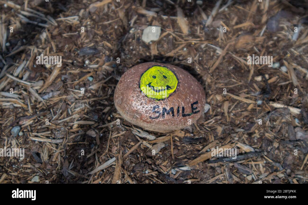 Ein kleiner Stein mit einem lächelnden Emoji bemalt Stockfoto