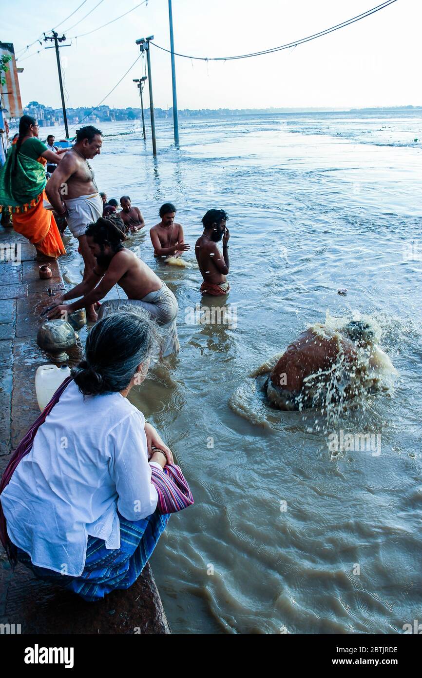 Indien, Varanasi - Bundesstaat Uttar Pradesh, 31. Juli 2013. Nach den Monsunen. Zahlreiche Gläubige baden im Fluss und führen ihre täglichen Gebete aus. Stockfoto