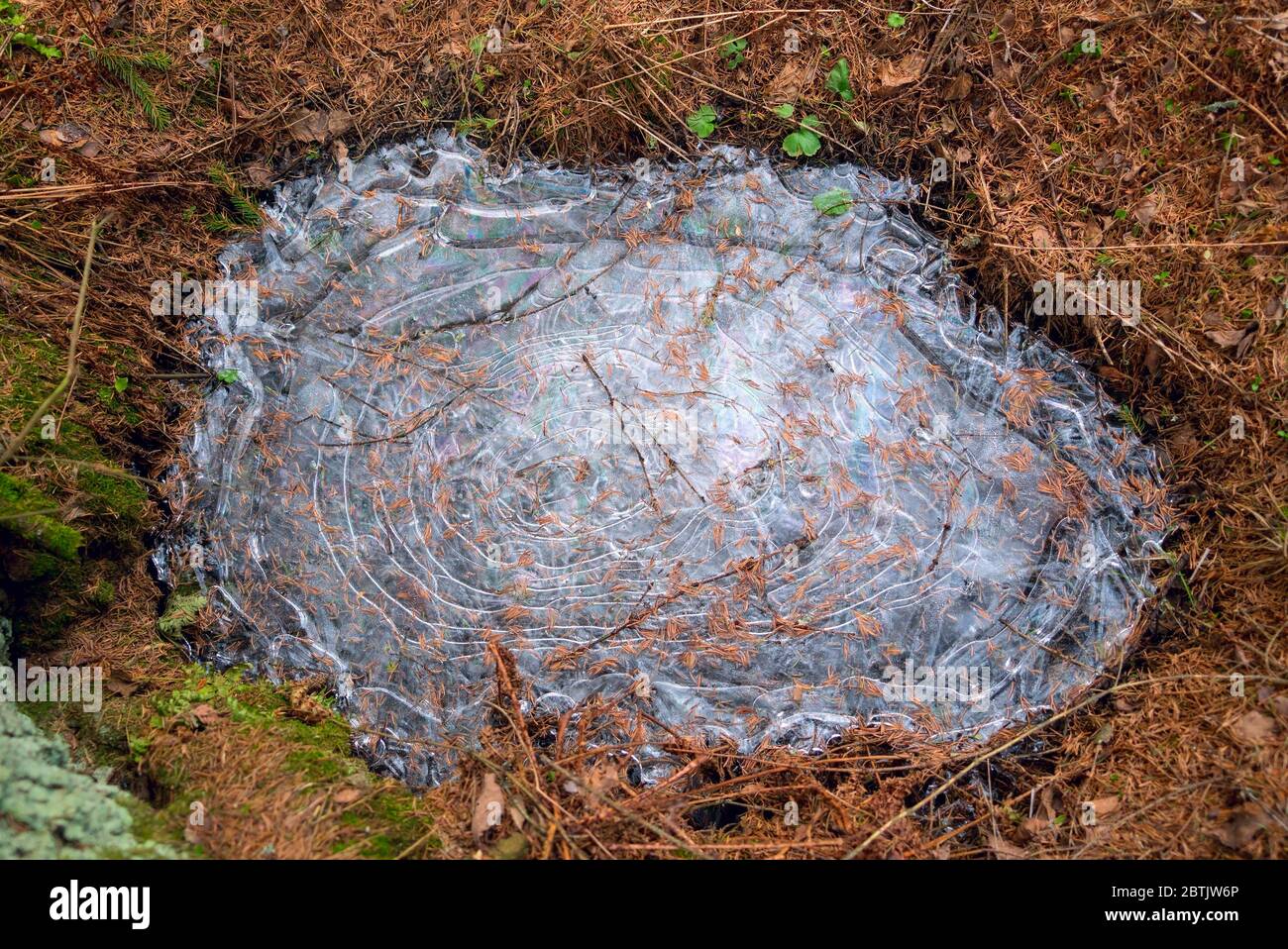 Eine gefrorene Pfütze mit einem blauen Muster auf dem Eis Stockfoto