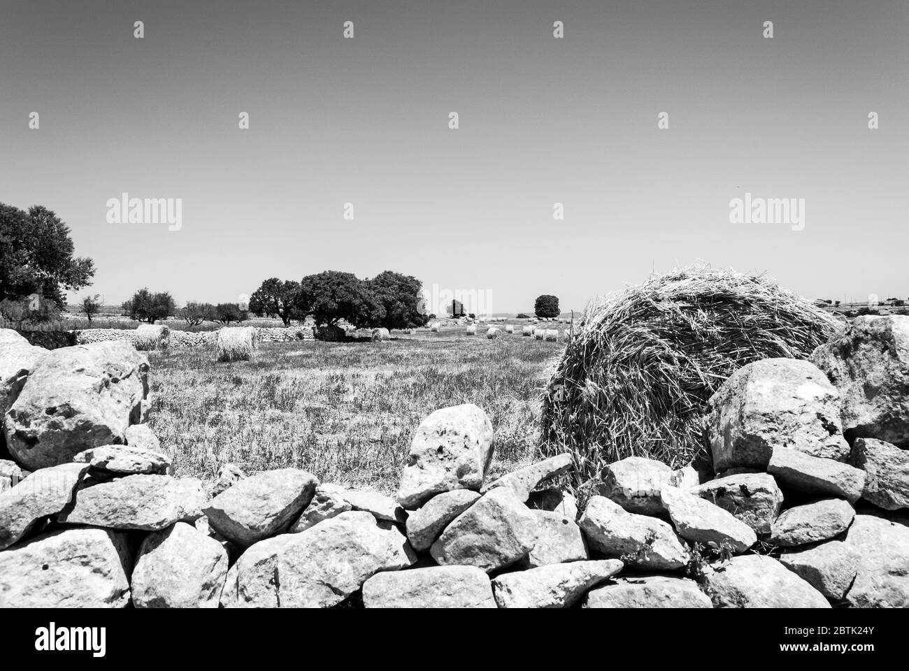 Ländliche Landschaft der Landschaft des Südost-Sizilien im vollen Frühling, trockene Steinmauern, Oliven-und Johannisbrotbäume und Heuballen. Stockfoto