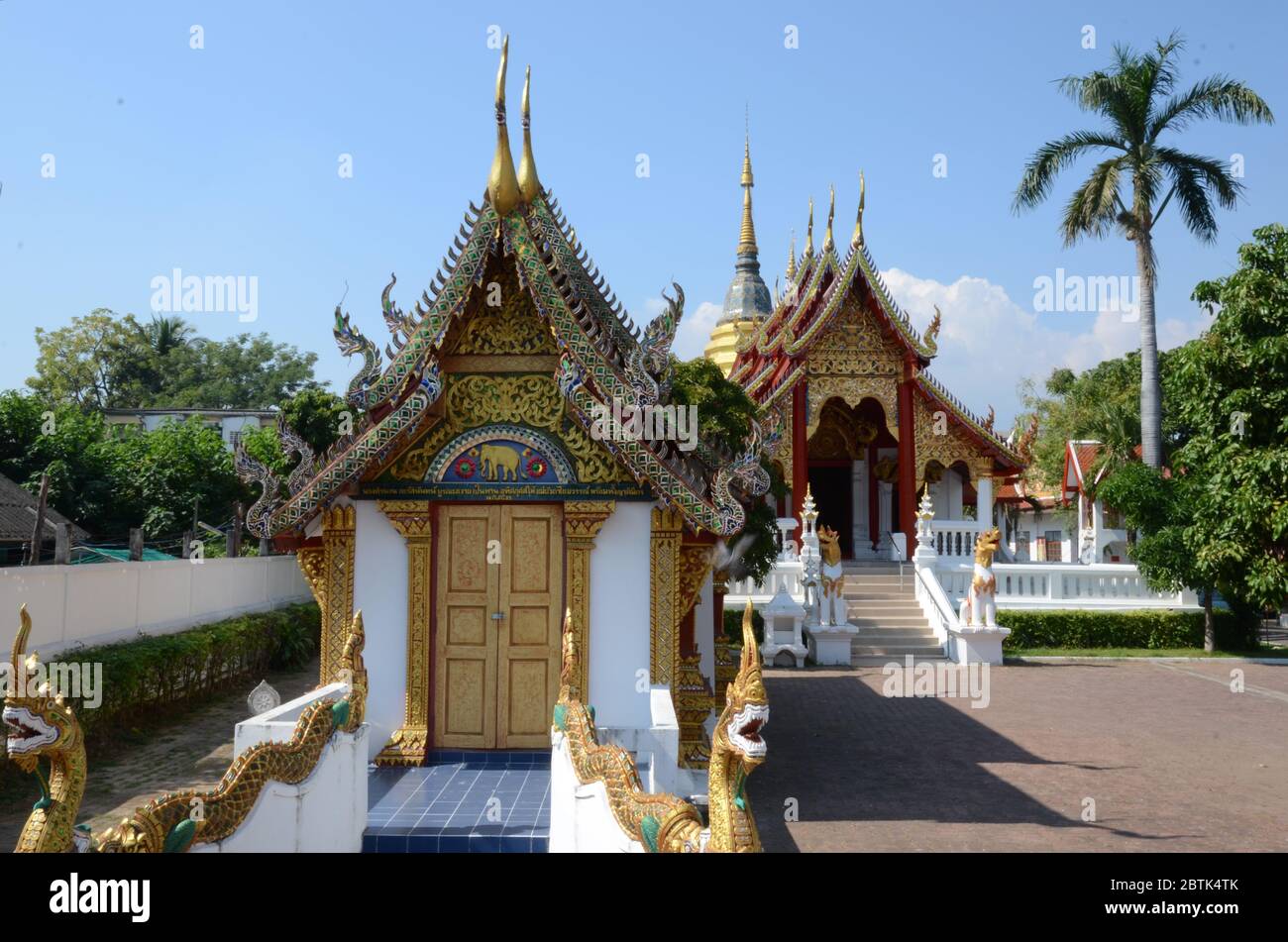 Wunderschönes Viharn in Chiang Mai Stockfoto