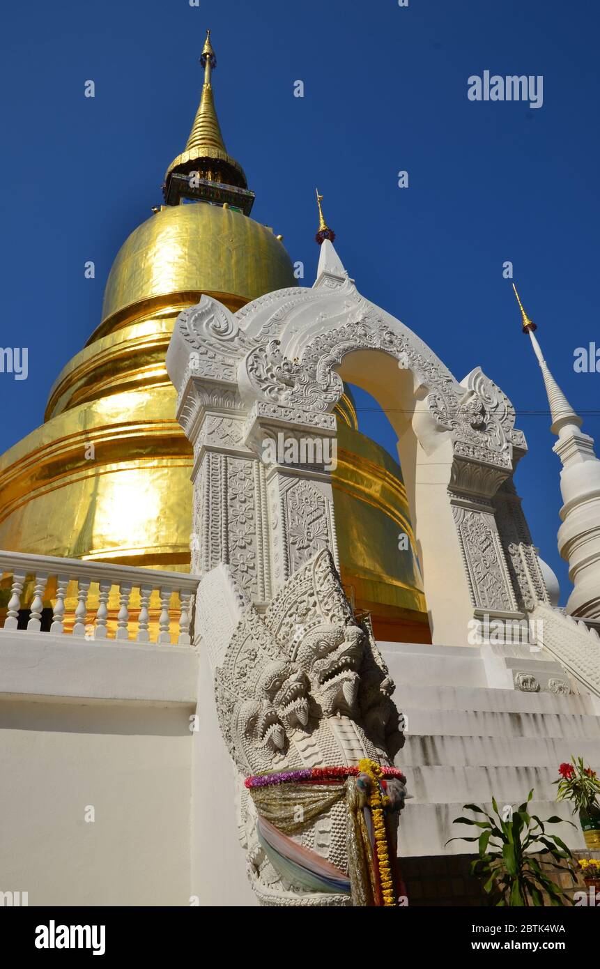 Goldener Chedi von Wat Suan Dok in Chiang Mai Stockfoto