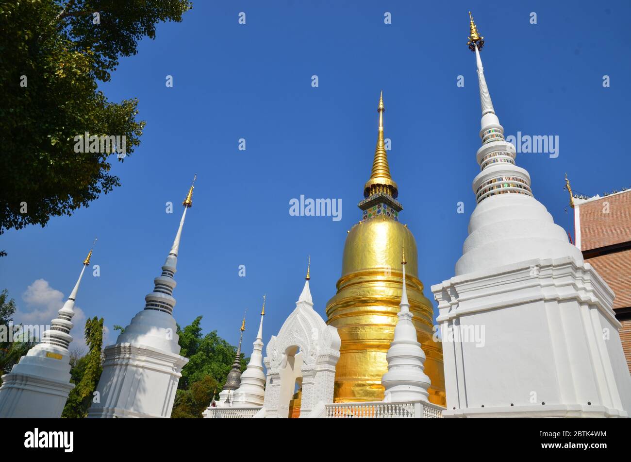 Chedi von Wat Suan Dok in Chiang Mai Stockfoto