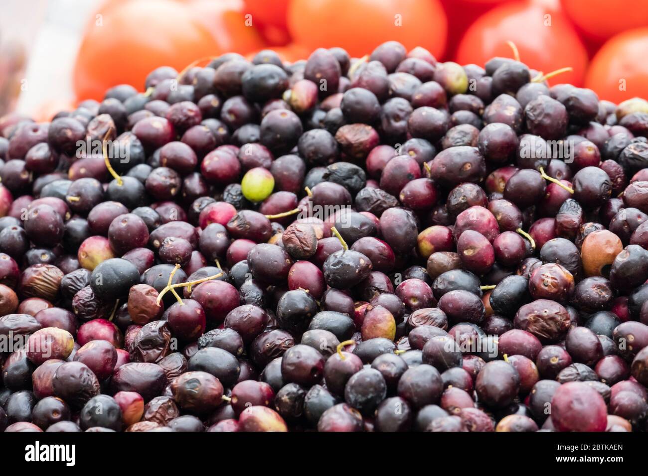 Hügel von frischen Oliven zum Verkauf auf dem Grünen Markt in Split, Kroatien Stockfoto