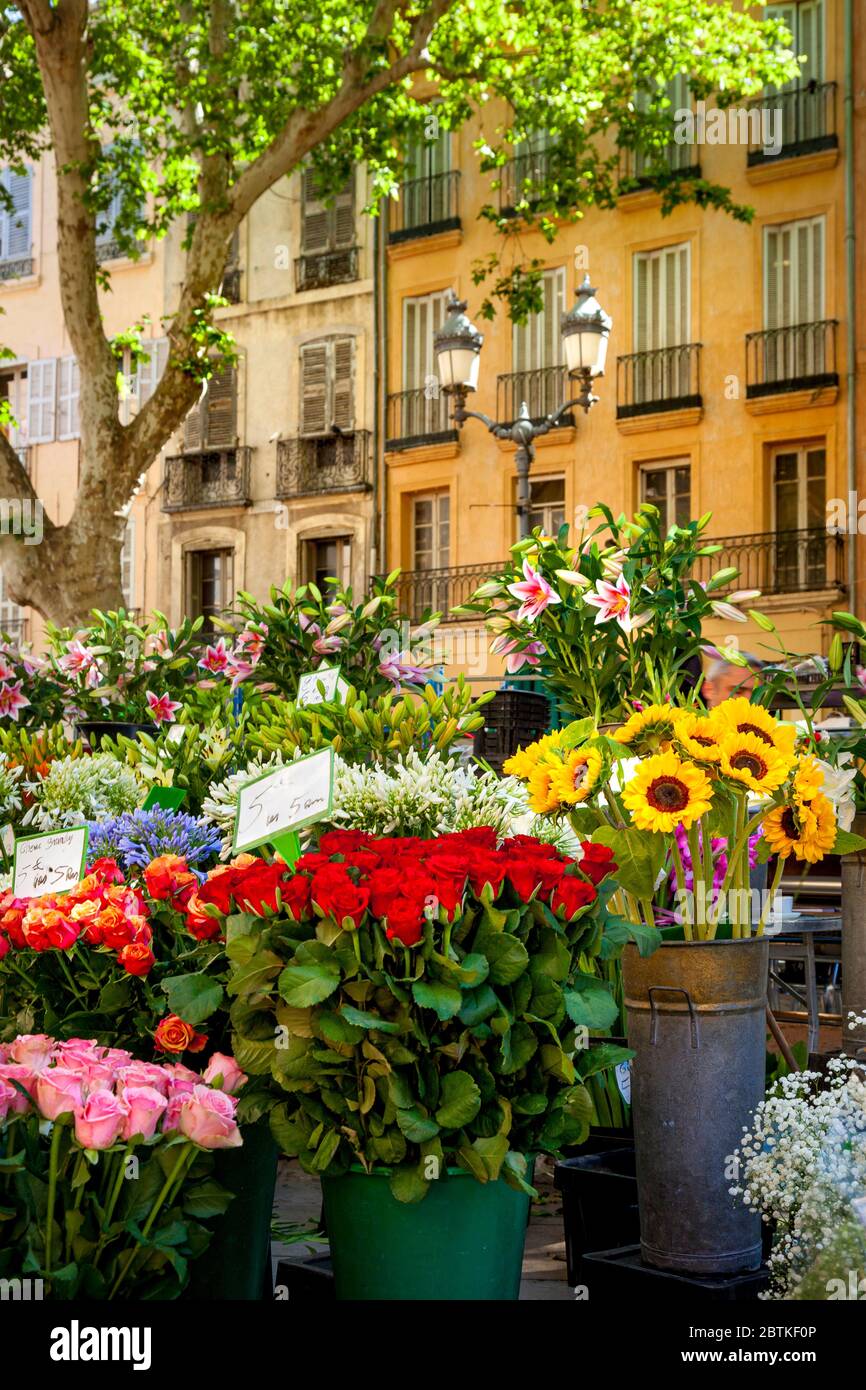 Blumenmarkt in Place de l'Hotel de Ville, Aix en Provence, Frankreich Stockfoto