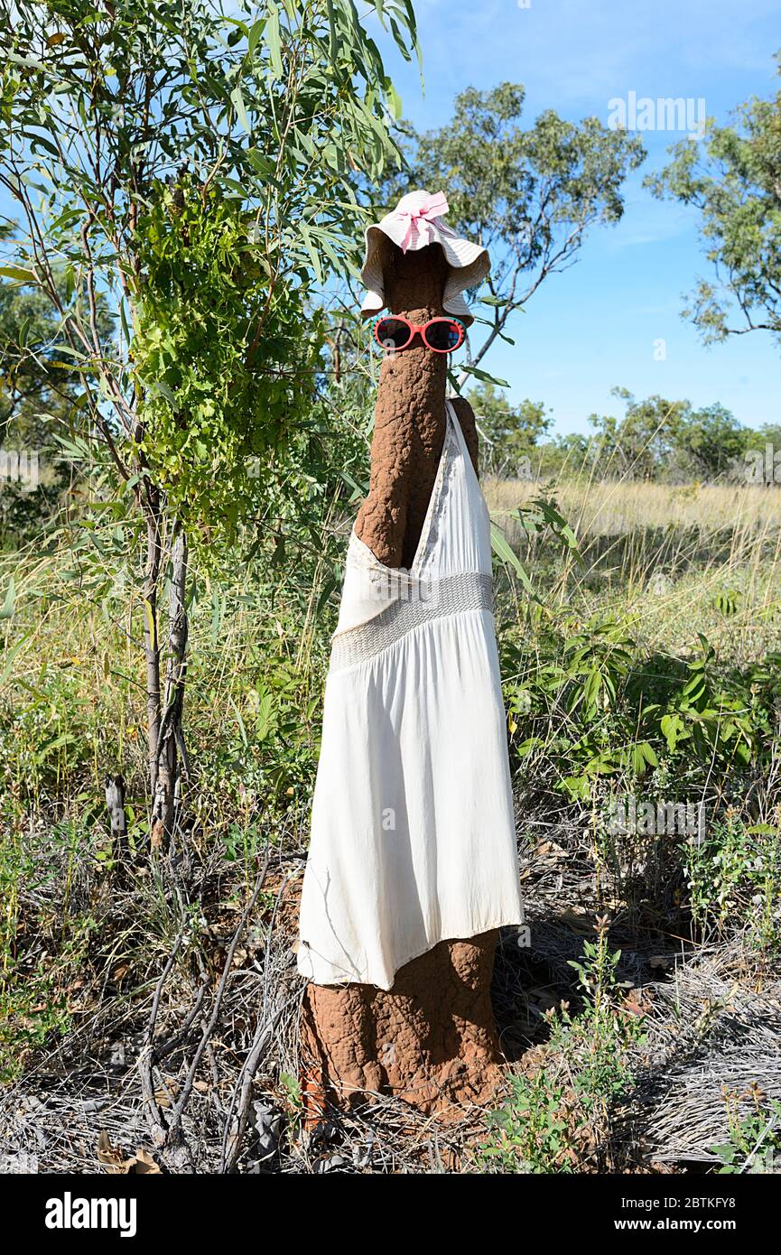 Termitenhügel mit Kleid, Hut und Sonnenbrille als Scherz, Northern Territory, NT, Australien Stockfoto