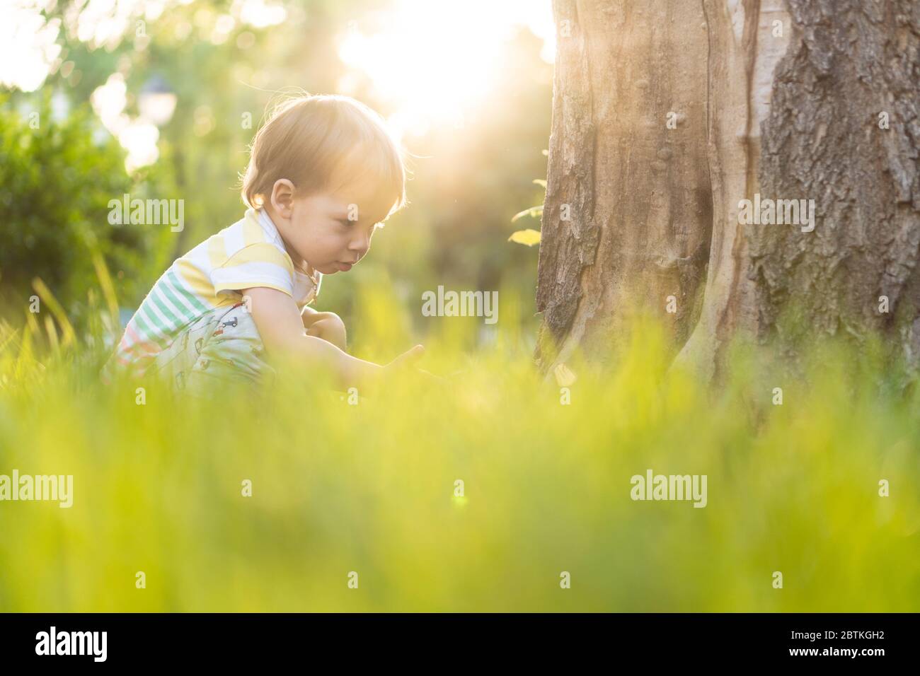 Kindheit, Natur, Sommer, Parks und im Freien Konzept - Porträt von niedlichen blonden kleinen Jungen in gestreiften mehrfarbigen T-Shirt in der Nähe Stamm eines alten Stockfoto