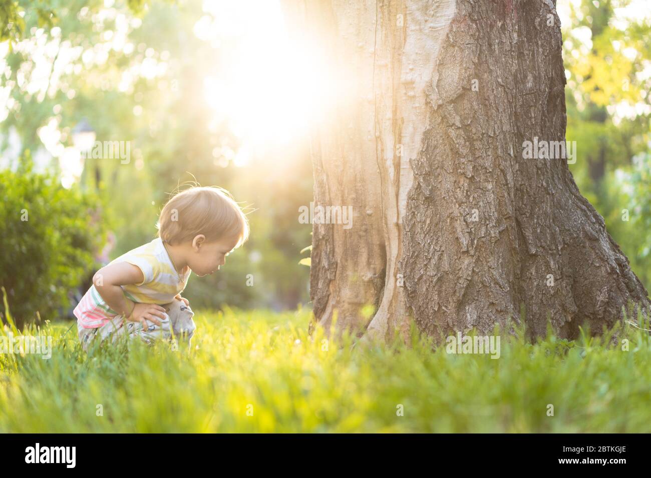 Kindheit, Natur, Sommer, Parks und im Freien Konzept - Porträt von niedlichen blonden kleinen Jungen in gestreiften mehrfarbigen T-Shirt in der Nähe Stamm eines alten Stockfoto