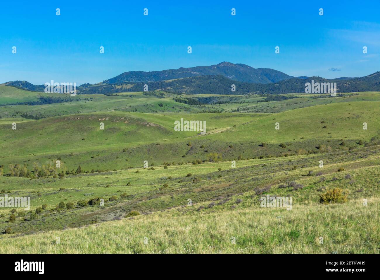 Garnet Range und Ausläufer in der Nähe Garnison, montana Stockfoto