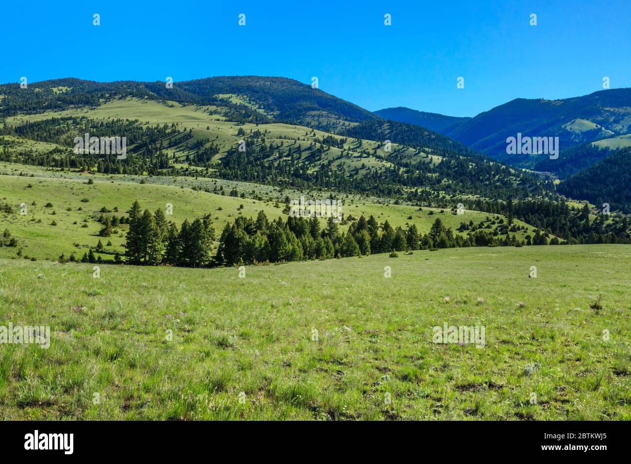 Garnet Range im warmen Quellbach Becken in der Nähe Garnison, montana Stockfoto
