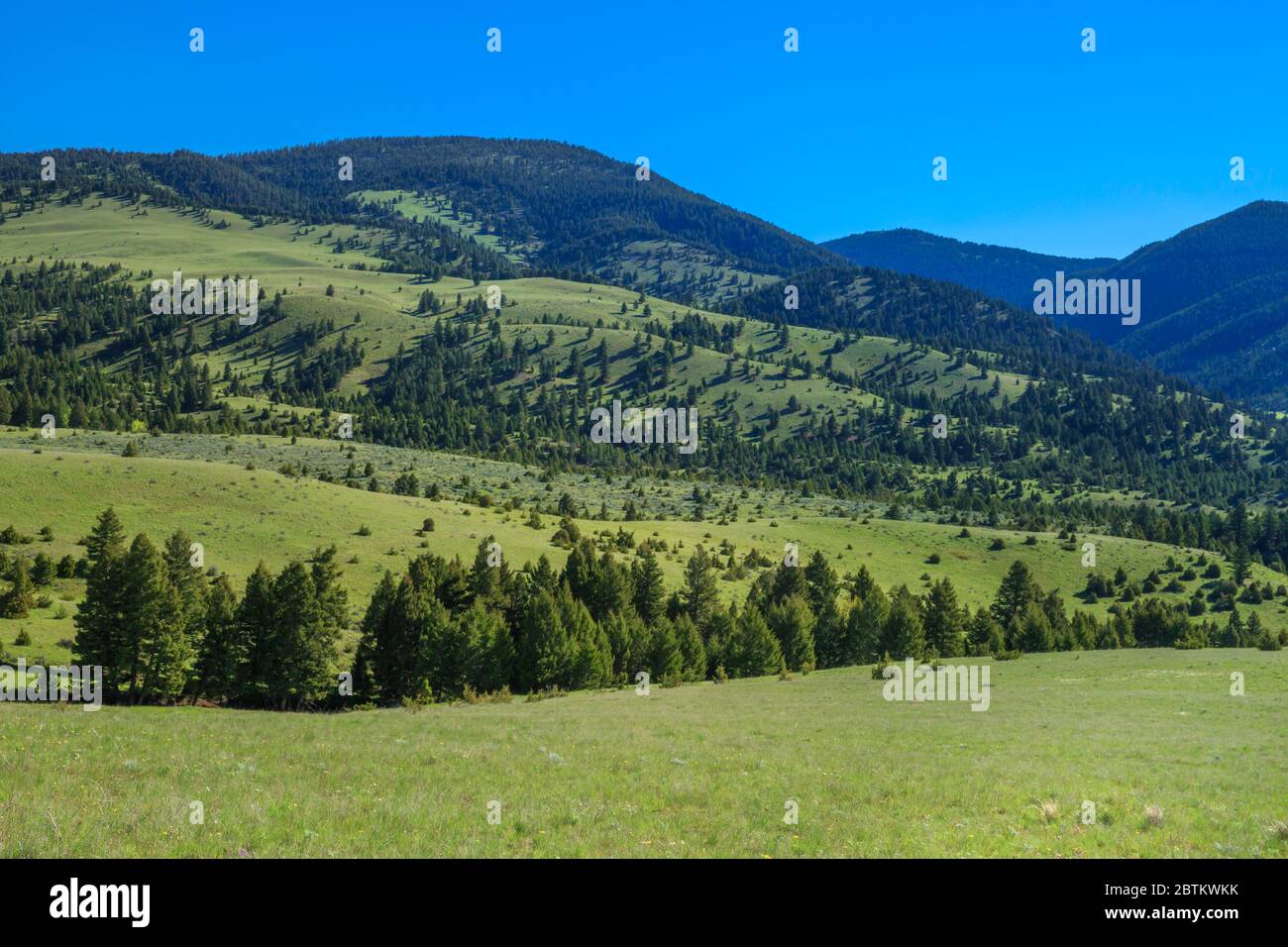 Garnet Range im warmen Quellbach Becken in der Nähe Garnison, montana Stockfoto