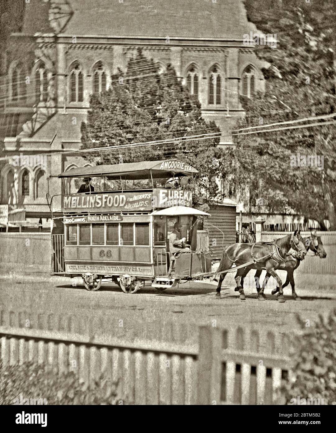 Eine Pferdestraßenbahn in den Straßen von Adelaide, South Australia um 1900. Adelaide hatte Australiens erstes und größtes Pferdebahnnetz (1878–1914) und wuchs auf 11 Betreiber und 82 km Länge. Die Elektrifizierung begann 1908. Diese Doppeldeckerbahn der Adelaide and Suburban Tramway Co, Nr. 66, hat ein Zielbrett mit den Aufzeigestellen "North Adelaide" und "Zoo Gardens". An Bord sind Werbeschilder für Mellin's Food, Eureka Tobacco und Amcoorie Tea. Stockfoto