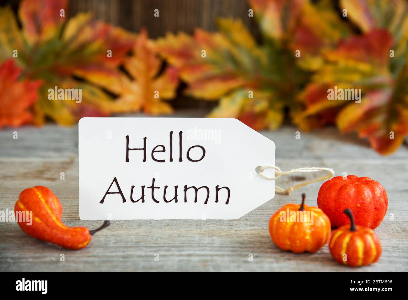 Label Mit Text Hallo Herbst, Kürbis Und Blätter Stockfoto