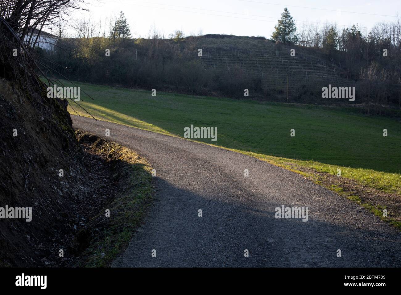 Hinterstraße in der Nähe von Cassinasco, Langhe, Piemont, Italien Stockfoto