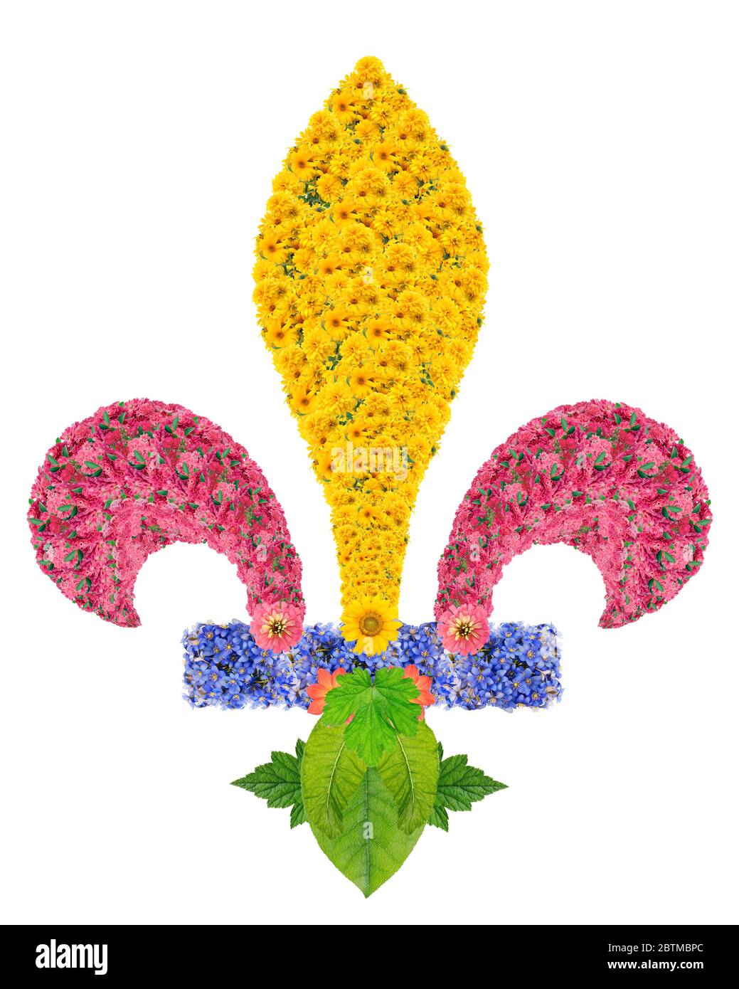 Fleur-de-Lis-Symbol ist auf unzähligen europäischen Wappen und Fahnen im Laufe der Jahrhunderte erschienen, ist es besonders mit dem europäischen Mo verbunden Stockfoto