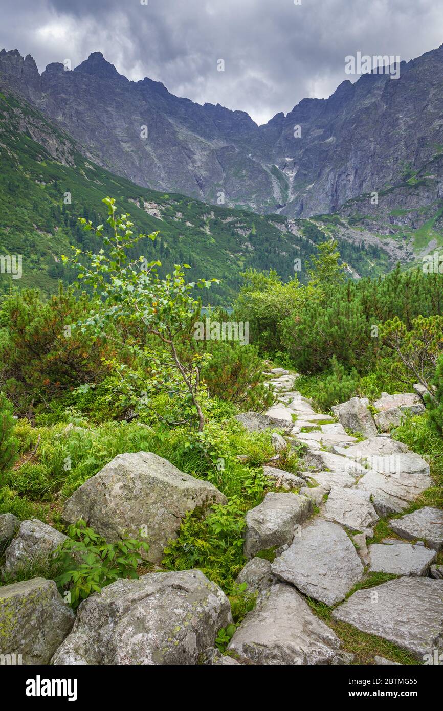 Tatra in Polen. Bergpfad mit Steinen gesäumt. Stockfoto