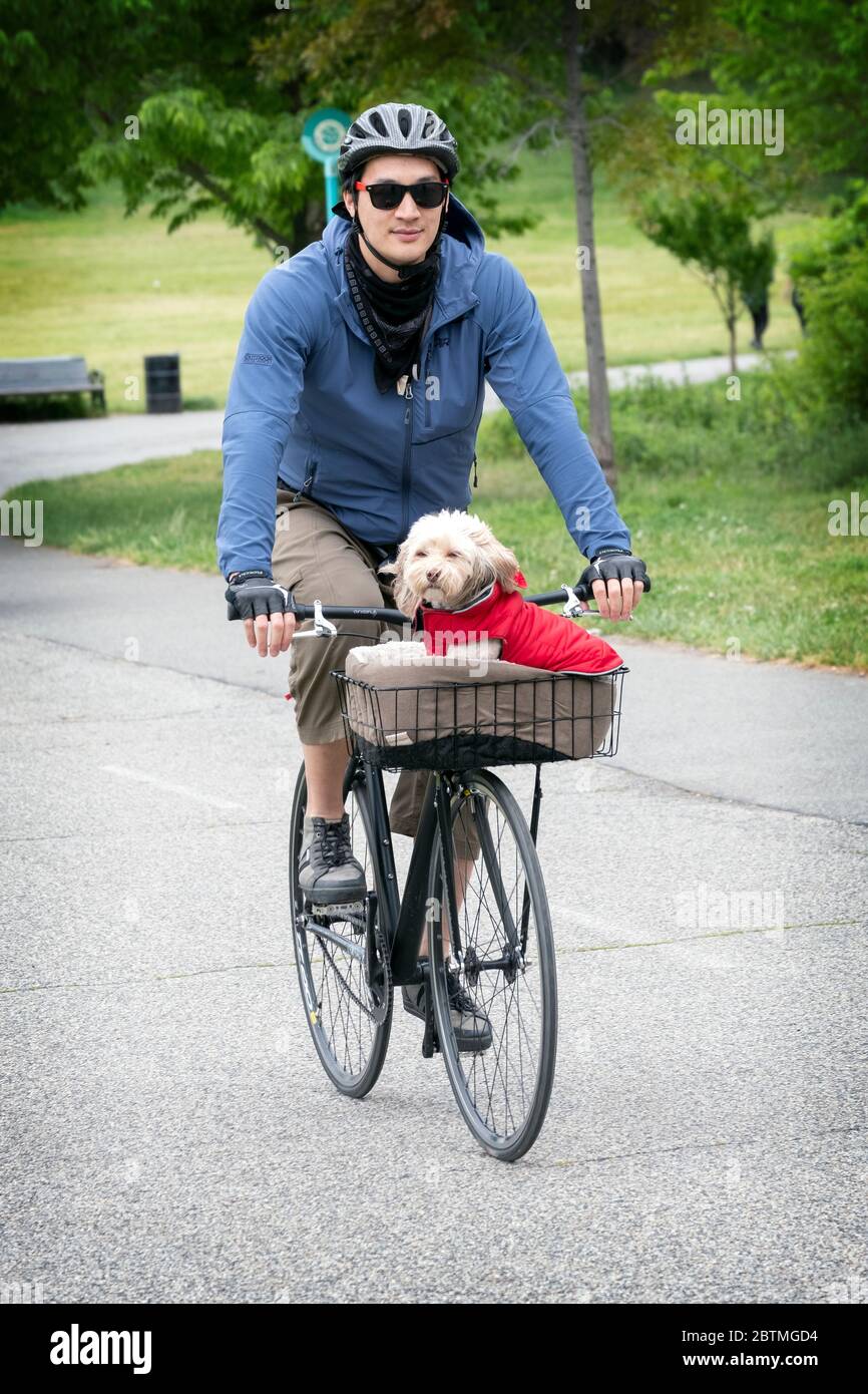 Ein asiatischer Amerikaner, wahrscheinlich Koreaner, fährt mit seinem Haustier Hund in einem Korb mit dem Fahrrad. In Little Bay Park, Whitestone, Queens, New York City. Stockfoto
