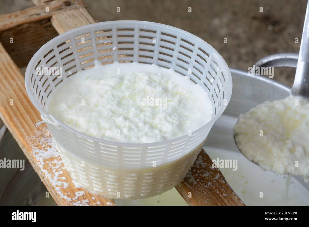 Hüttenkäse Produktion. Das Produkt wurde gerade in das Fach eingesetzt Stockfoto