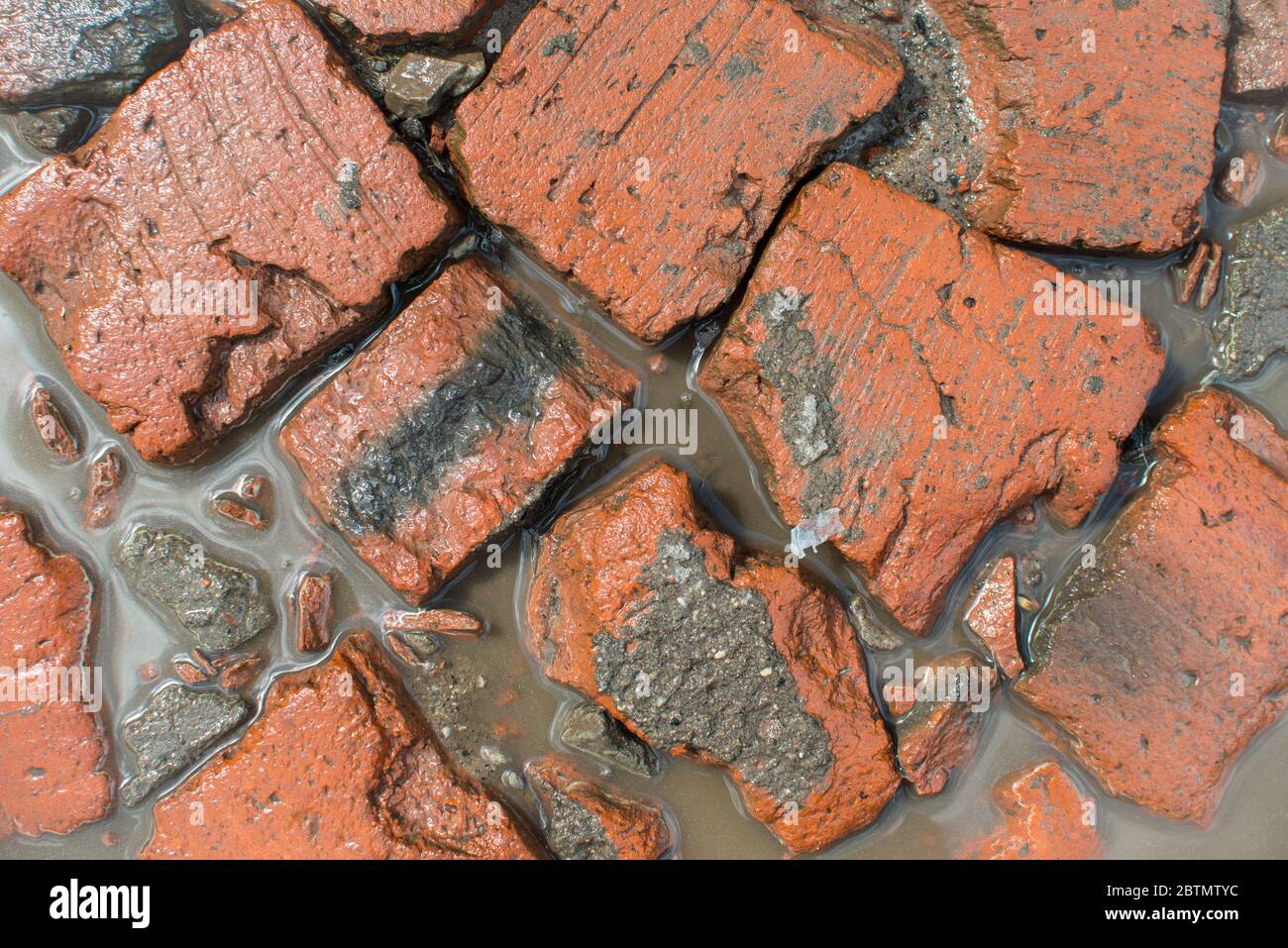 Draufsicht von Schmutz rote Steine Textur Hintergrund. Ziegel, Schmutzwasser und Boden Stockfoto