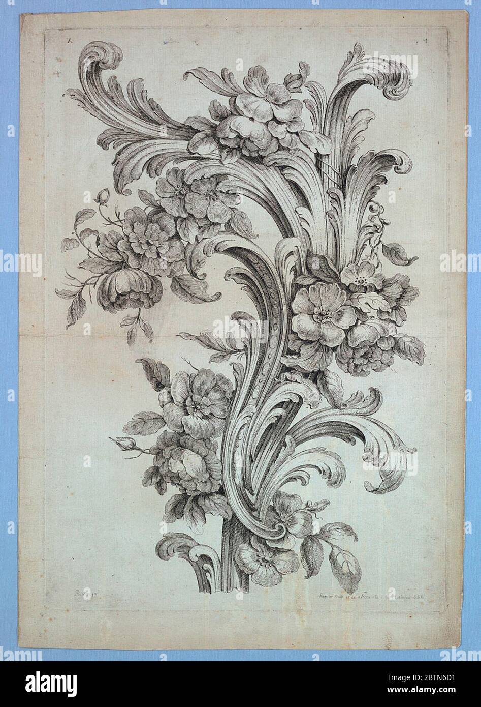 Platte 4 von Divers Ornemens. Forschung in ProgressOberseite einer Pflanze mit Akanthus Schriftrollen und großen Blumen der Rosenfamilie. Stockfoto