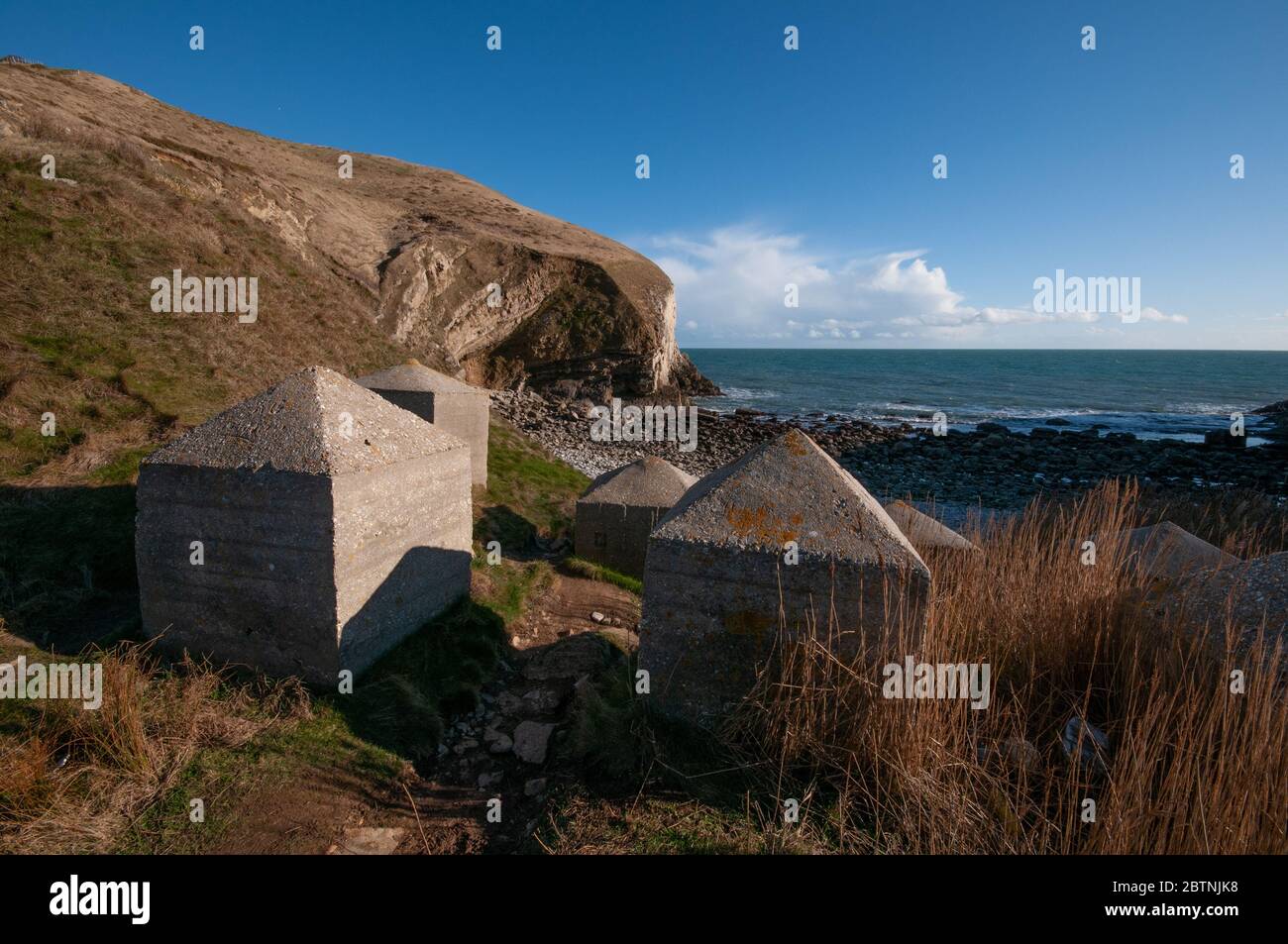 Panzerabwehr aus dem 2. Weltkrieg in Worbarrow Bay in Dorset, England Stockfoto