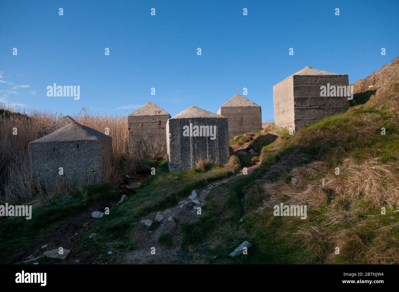 Panzerabwehr aus dem 2. Weltkrieg in Worbarrow Bay in Dorset, England Stockfoto