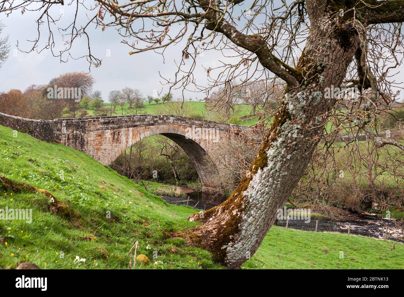 Rutherford Bridge, in der Nähe von Scargill, Co. Durham Stockfoto