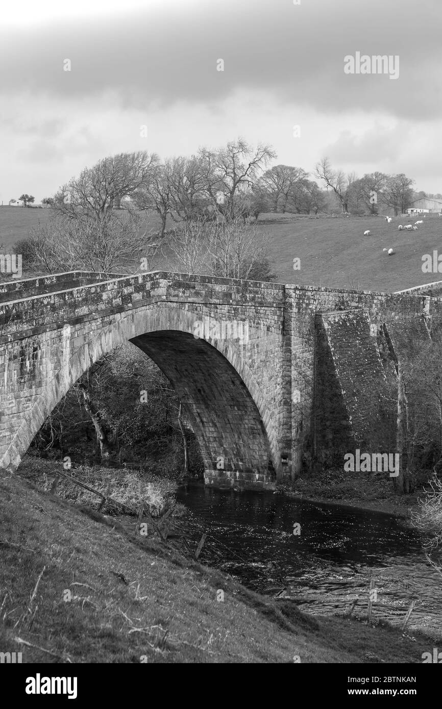 Rutherford Bridge, in der Nähe von Scargill, Co. Durham, England, Großbritannien. Schwarz-weiße Version Stockfoto