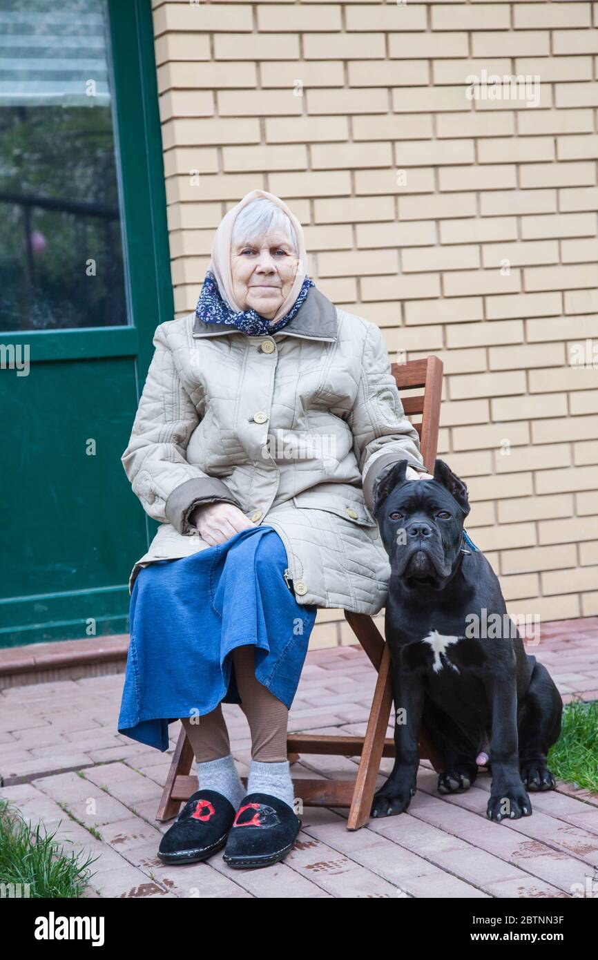 Eine alte Großmutter sitzt mit einem Zuckerrohr-Corso-Hund auf der Straße Stockfoto