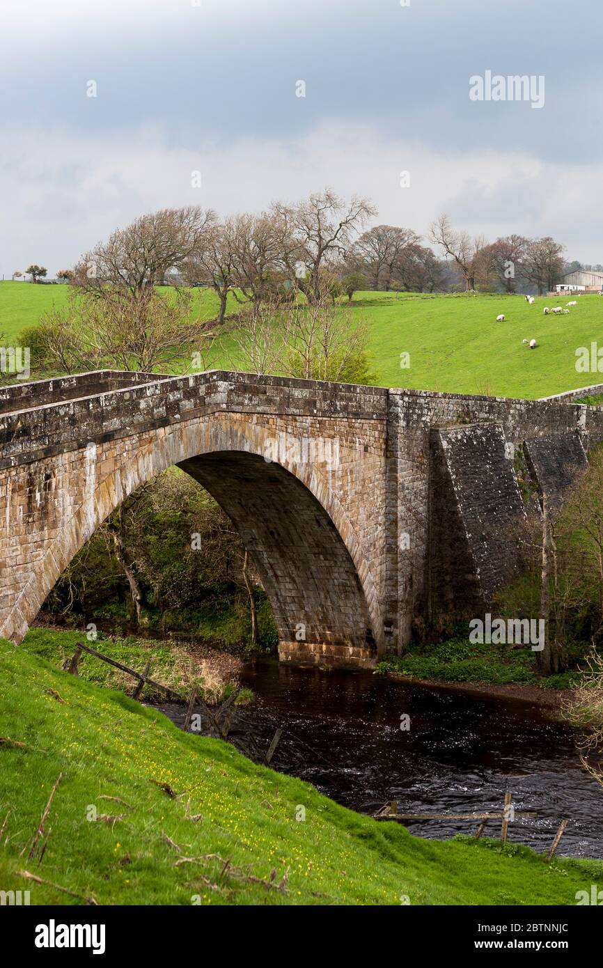 Rutherford Bridge, in der Nähe von Scargill, Co. Durham, England, Großbritannien Stockfoto