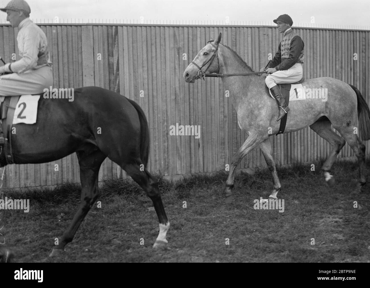 Derby Kandidaten . St. Sylvestre 1927 Stockfoto