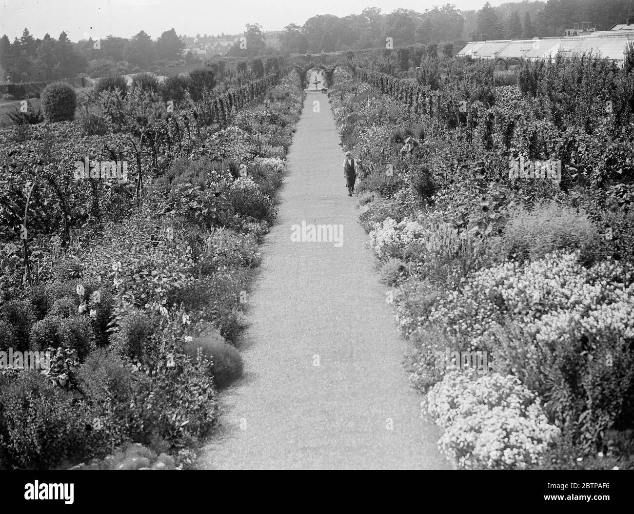 Sandringham Gardens , Norfolk 22. August 1929 Stockfoto