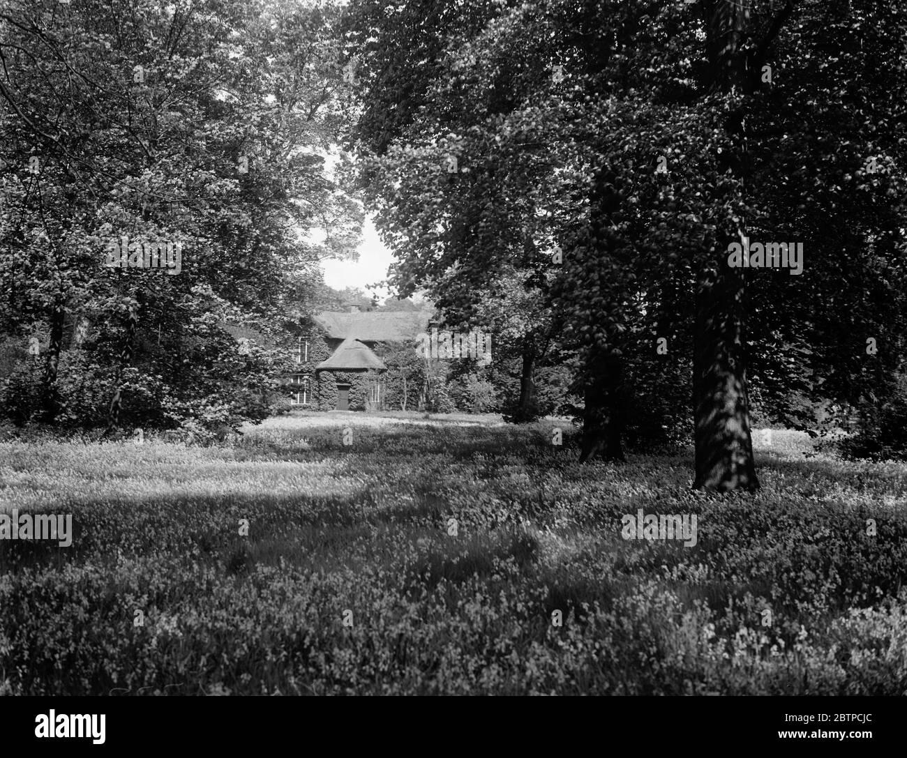 Bluebell Zeit in Kew . Die Queen ' s Hütte im Hintergrund und die Massen von bluebells bilden einen perfekten Teppich der Farbe. Durch den ausdrücklichen Wunsch von Königin Victoria ist dieser Schönheitsfleck ' für alle Zeiten erhalten zu werden '. 17 Mai 1932 Stockfoto