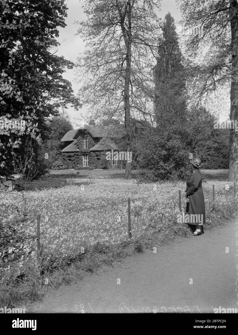 Bluebell Zeit in Kew . Die Queen ' s Hütte im Hintergrund und die Massen von bluebells bilden einen perfekten Teppich der Farbe. Durch den ausdrücklichen Wunsch von Königin Victoria ist dieser Schönheitsfleck ' für alle Zeiten erhalten zu werden '. 17 Mai 1932 Stockfoto
