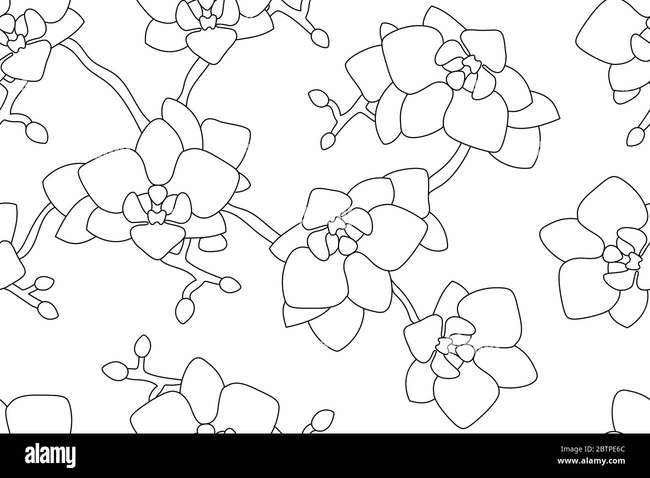 Schwarz und weiß Orchidee Hintergrund Stock Vektor