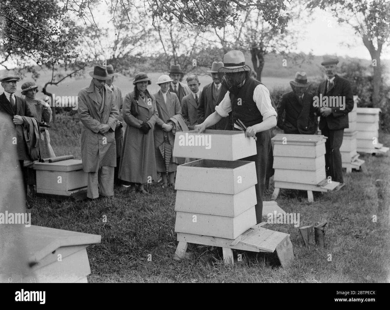 Demonstration der Bienenhaltung . 1935 . Stockfoto