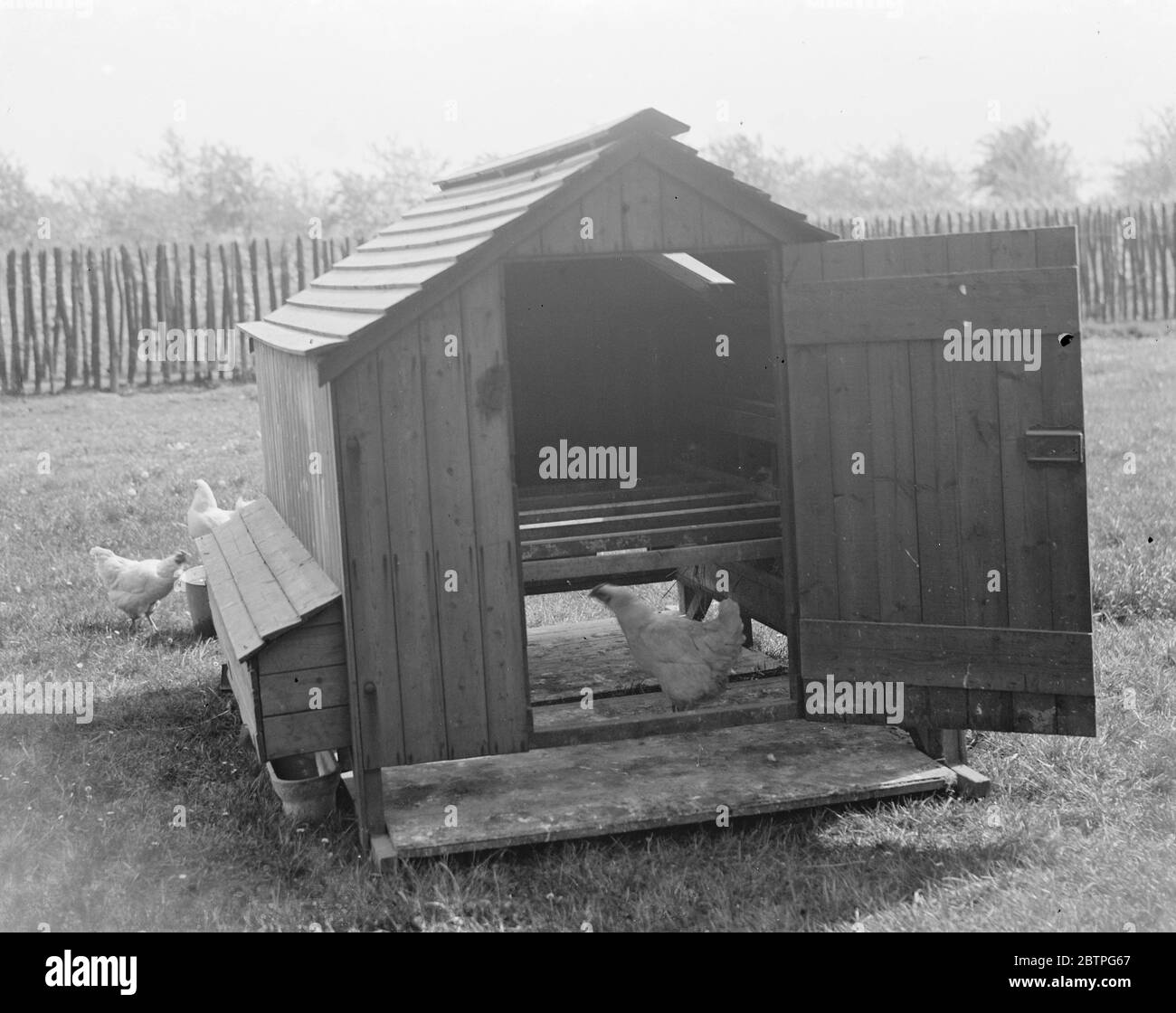 Ein Geflügelhaus . 1939 Stockfoto