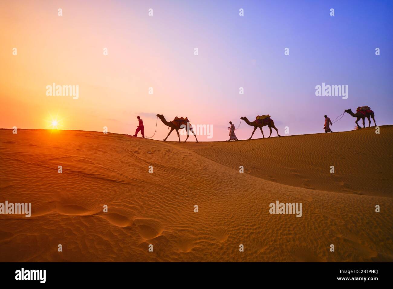 Indische Kameltreiber mit Kamelsilhouetten in Dünen bei Sonnenuntergang. Jaisalmer, Rajasthan, Indien Stockfoto