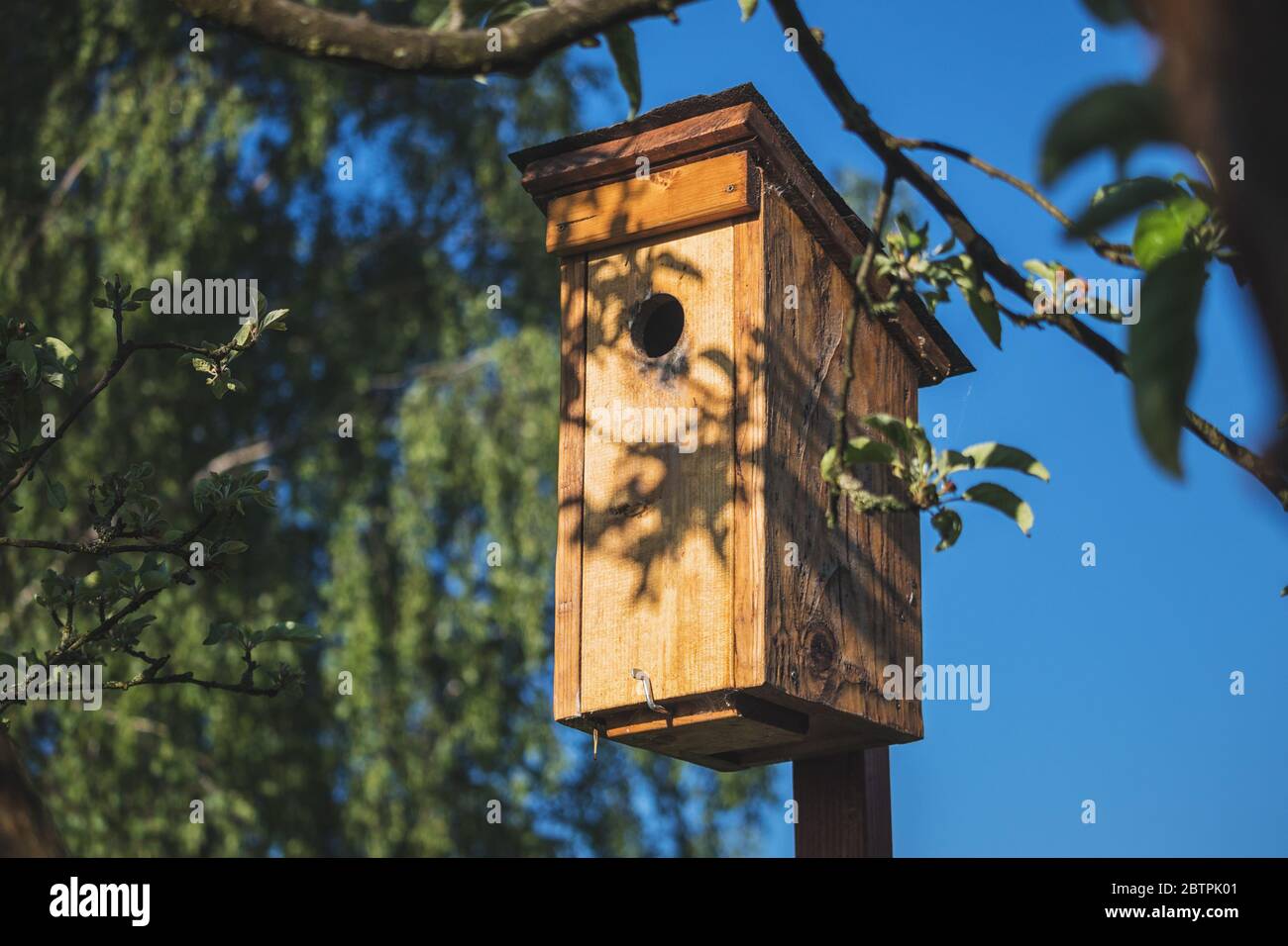 Vogelhaus aus Holz für Stare, Nahaufnahme, blauer Himmel Stockfoto