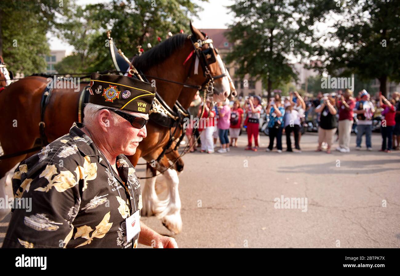 VFW Military Salute Parade und Patriotic Celebration in der Innenstadt von St. Louis, Missouri USA. Stockfoto