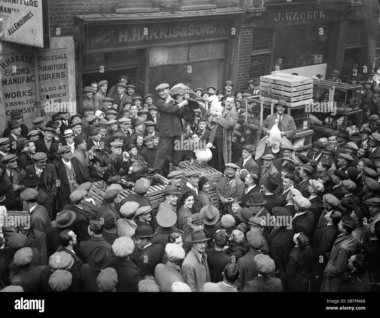 Live Truthähne für Weihnachten . Die Menge rund um einen Auktionator bietet Live-Truthähne in Middlesex Street 8 Dezember 1935 Stockfoto