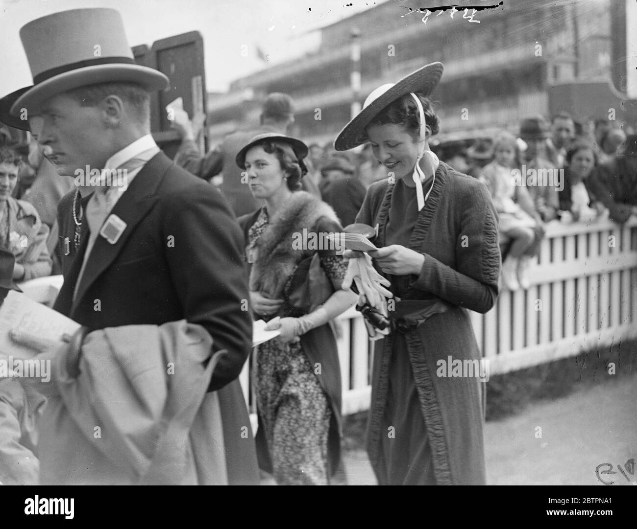 Unter dem Kinn gebunden. Ein breiter, flacher Strohhut, unter dem Kinn gebunden, getragen von einer Racegoistin bei ascot am Eröffnungstag. 15 Juni 1937 Stockfoto
