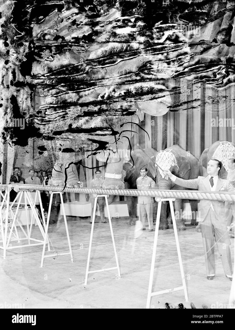 Elefant geht das 'enge Seil'. Ranee, ein Performer der Elephant Revue, die am Samstag im internationalen Zirkus im London Coliseum eröffnet wird, hält sich bei einer Probe im Ring auf der Coliseum-Bühne an die "Straight" und "Narrow". 14 Juli 1939 Stockfoto