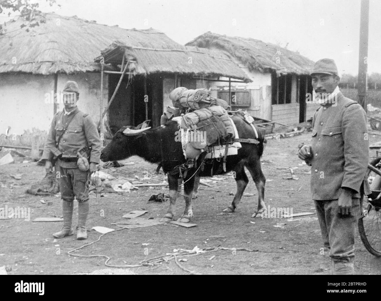 'Gefangener' der Japaner. Zwei japanische Soldaten mit einem Wasserbüffel, der von den Chinesen in der fortgeschrittenen nach Nanking gefangen genommen wurde, und der sehr nützlich für das Tragen der Soldatenausrüstung gefunden wird. Obwohl Kriegsgefangene normalerweise etwas sind, das ich belaste, wurde dieser gemacht, um "sein Gewicht zu ziehen!". 17 Dezember 1937 Stockfoto
