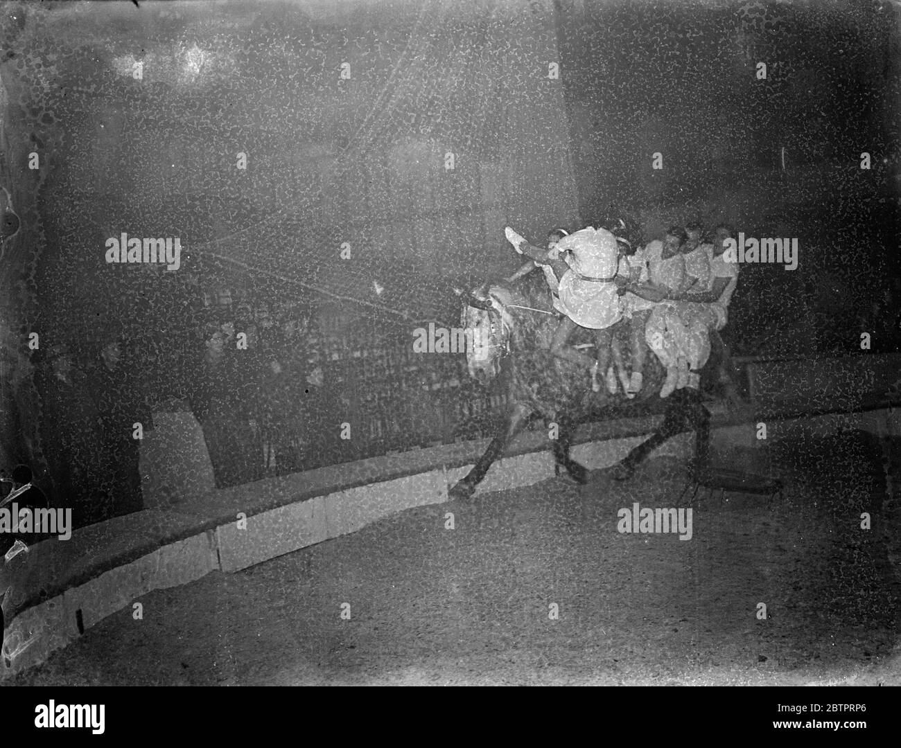 Sieben auf einem Pferd. Circus, probt seinen Nervenkitzel für Weihnachten. Trickreiter, Trapezkünstler und Clowns arbeiten dieses Wochenende hart daran, ihre Acts für den jährlichen Weihnachtszirkus in der Royal Agricultural Hall in Islington, London, zu polieren. Der Zirkus öffnet morgen (Montag). Foto zeigt, sechs der Carolis, die auf einem einzigen Grau um den Ring hüten, während ein weiteres Mädchen der Truppe aufspringt, um auf den Pferden wieder zu spielen, bei einer Probe heute (Sonntag). 19 Dezember 1937 Stockfoto