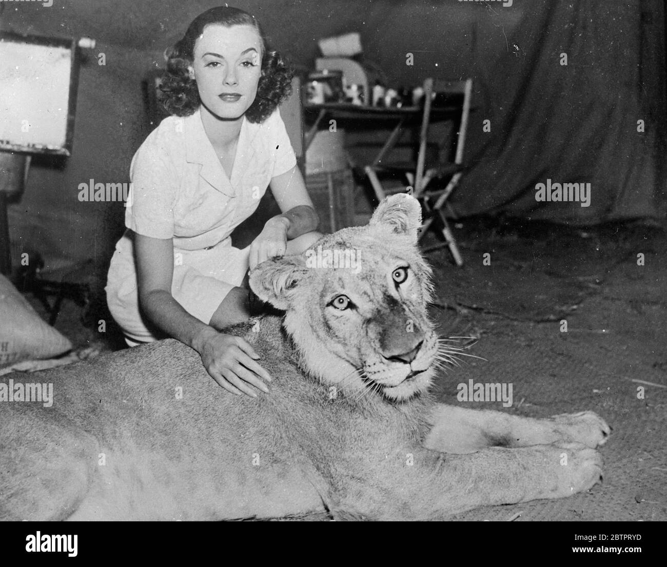 Filmfreunde! Eleanor Holm Jarrett, die Filmschauspielerin freundet sich mit einem der Löwen an, die in ihrem neuen Film "Tarzan's Revenge" in Hollywood mitwirken. Die Löwin scheint jedoch so sanft zu sein, wie eine ihrer Rasse es sein kann. Stockfoto