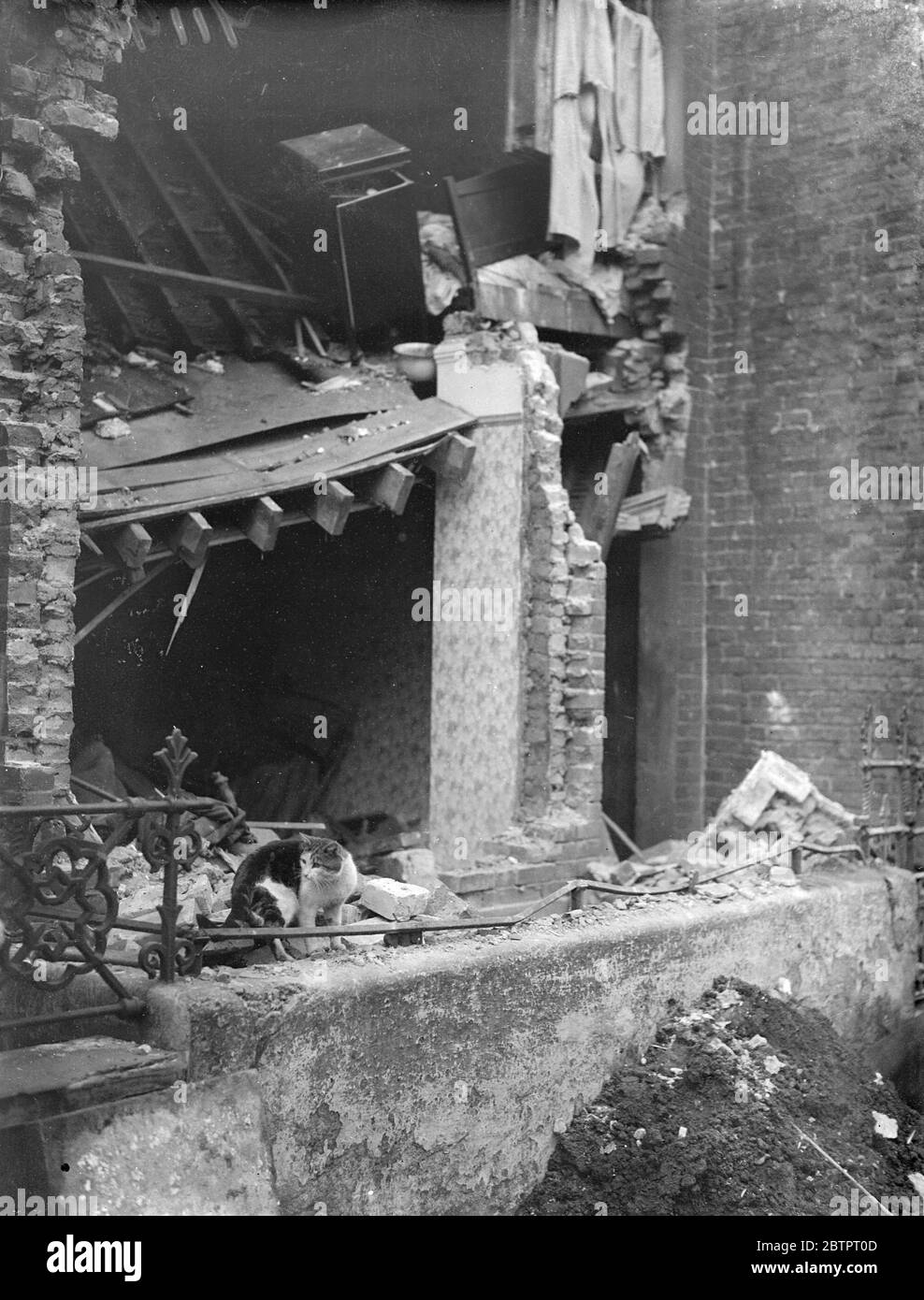 Überlebender inmitten der Ruinen. Londoner Haus durch Explosion zerstört. Ein Mann, John Clancy, 68 Jahre alt, wurde getötet und acht weitere Personen wurden verletzt, als eine Gasexplosion ein Haus in der De Morgan Road, Fulham, zerriss. Das Haus stürzte auf neun Personen ein, die 2 Familien gehörten, die das Haus besetzten, die meisten von ihnen mussten aus dem Schutt ausgegraben werden. Immer ins Krankenhaus gebracht und eingesperrt. Foto zeigt, eine Katze, die am Haus lebte Wunder inmitten der Ruinen der Explosion. 17. November 1937 Stockfoto
