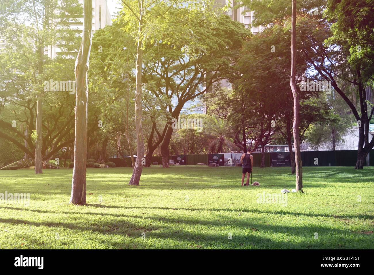 Makati, Manila, Philippinen - 26. Mai 2020: Fast leer Ayala Dreieck Park, wo ein Mann, der Hund, während Coronavirus covid Quarantäne ECQ. Sonnig Stockfoto