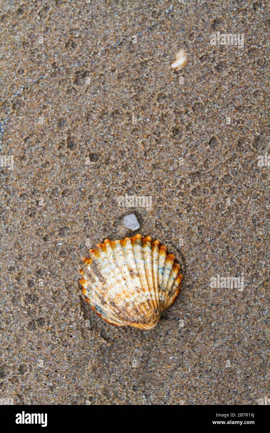 Textur auf dem Strand Sand Stockfoto