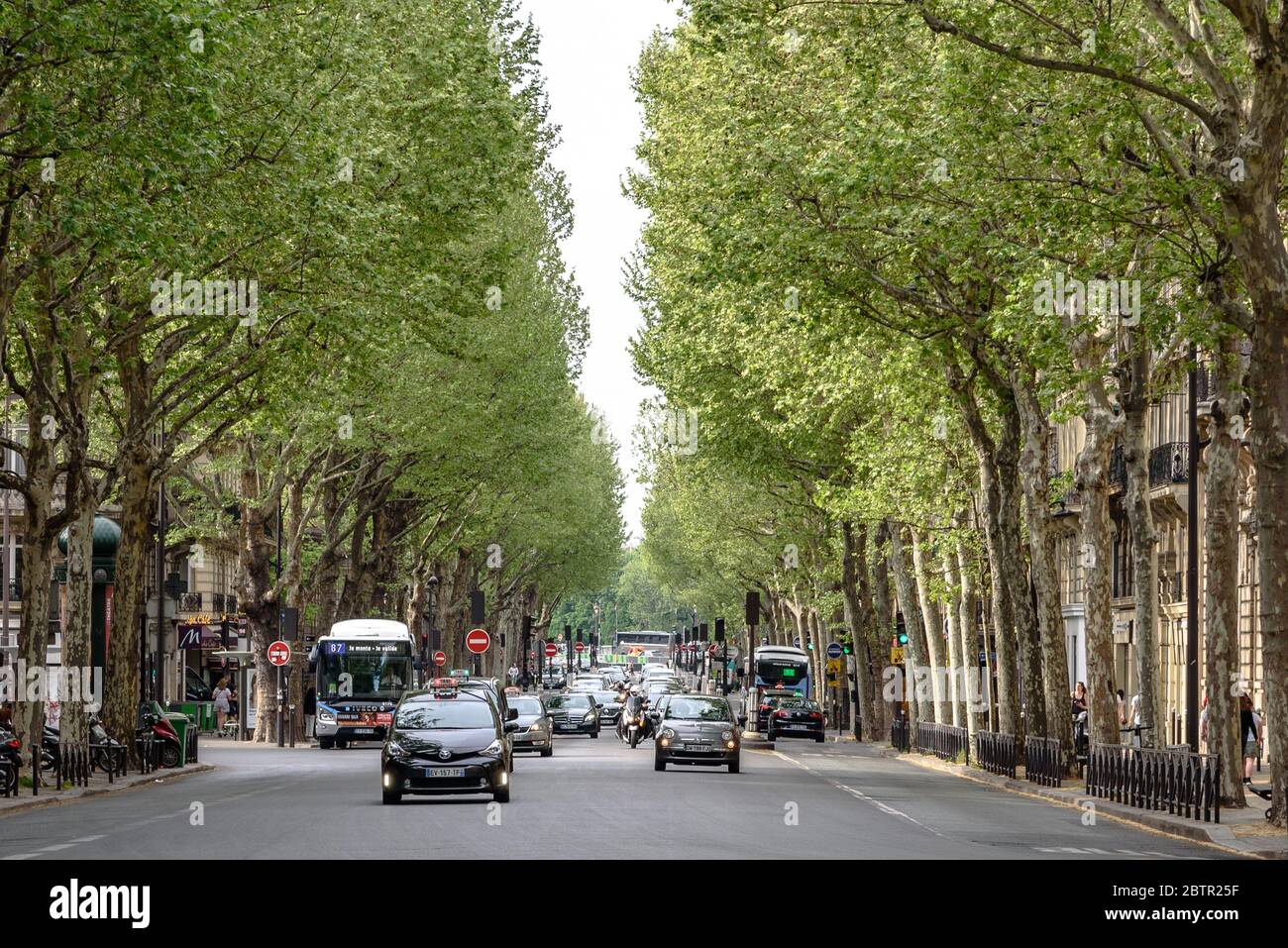 Verkehr auf dem von Bäumen gesäumten Boulevard Saint-Germain im 6. Arrondissement in Paris Stockfoto